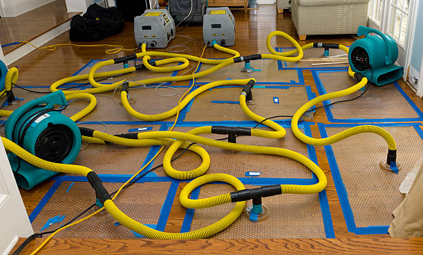Professional Flood Damage Restoration technician working in Alden, MN